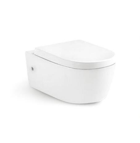 Wall Hung Toilet T8213